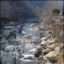 진상초황죽분교장 이미지