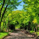 과천역 7번 출구(내점길) 이미지