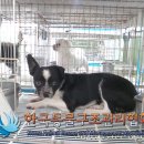 강서구-73 이미지
