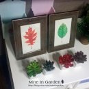 보타니컬아트(초급) 이미지