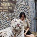 달바위농장 이미지