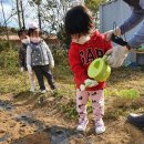 다현어린이집 이미지