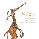 고프리 이미지