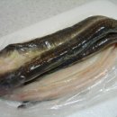 바다&장어 이미지