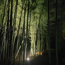 십리대밭 산책로 화장실 이미지