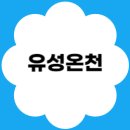 지하철역사 (유성온천역) | 대전 유성온천역 가족탕 호텔 · 사우나 · 찜질방 · 근처 맛집 총정리