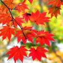 난센스 퀴즈 (8) 이미지