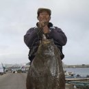 회광어9900 이미지