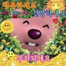 금산꼬마김밥 이미지