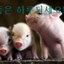 보고싶다친구야!