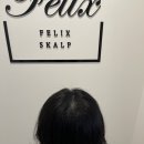 필릭스스칼프 네이버블로그