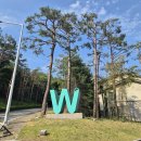 골프존W | 골프존안성w,야간라운딩 솔직후기
