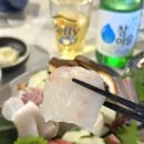 이자카야 카엔 도안동본점 네이버블로그