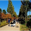 푸른수목원 이미지