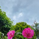 에그리나 이미지