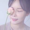 소담꽃 - 서초구 논현로13길 11 | 소담꽃