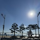나일구포차 | [광안리 세븐테마파크] 용감한 딸내미의 동물원 이용기