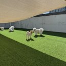 아이멍그라운드 이미지