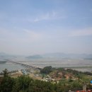 부여애견 이미지