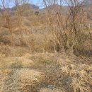 산북주유소 Daum카페