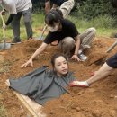 서울침구 - 서대문구 인왕시장길 18 | 서울침구