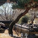 천하사우