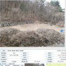 용인시 운학동 임야 626평 주택가능한 토지 경매가 7,600만원(64%)-11/24 이미지