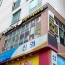 부산고양이미용&호텔 냥스타그램 이미지