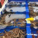 대구청과시장 | 대구 매천수산시장 홍게 대게 킹크랩 시세 주차 주말방문 후기