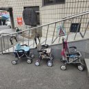 하동군민여성의원 이미지