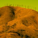 삼산1리 이미지