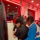 강화 용인대 복싱클럽 이미지