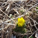 용우농장 이미지