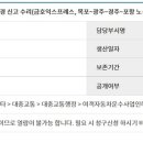 “포항-경주(고속)-광주-목포” 운행차량 우등⏩프리미엄변경… 3/12~ 이미지