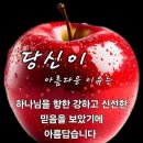 샬롬 Daum카페