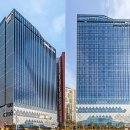 스테이문 이미지