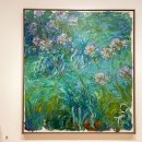 연빈화실 | 뉴욕 모마 미술관 : MoMA주요 작품설명 요약 도슨트 없이 관람 동선추천