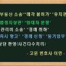 슈비쯔유치원 이미지
