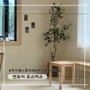 이태원 녹사평 신상카페 커피맛집 추천 &#39;썬보이 로스터스&#39;
