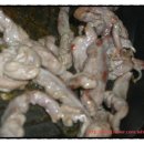 적거농장 이미지