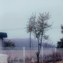 더스테이펜션 네이버블로그