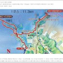 제1코스 Daum카페