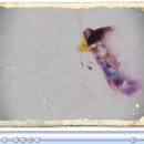 개미통나무 이미지