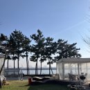 강화도아침숲속캠핑장 이미지