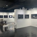 예술읽기
