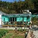 갈망개 민박 이미지