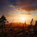 바바리아 이미지