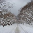 고향