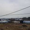 SH토지보상행정사사무소 이미지