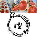 국가대표 고산태권도장 이미지